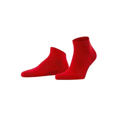 Abbildung von Falke COOL 24/7 Socken, Herren, Größe: 43 44, Rot