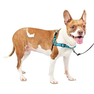 Abbildung von Petsafe Easy Walk Deluxe Geschirr Blau&amp;Schwarz Hundeerziehung Medi...