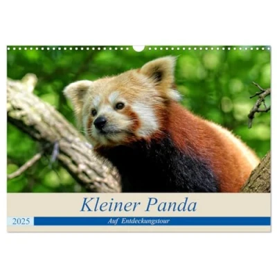 Abbildung von Kleiner Panda auf Entdeckungstour (Wandkalender 2025 DIN A3 quer), CALVENDO Monatskalender