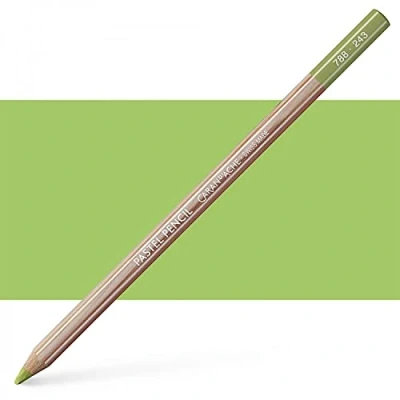 Abbildung von Caran d&#039;Ache Pastell Pencil Farbstift Artist Farbstifte Bleistift/ 3 Stück/Pack Farbe: 243 Light Olive 20% (788.243)