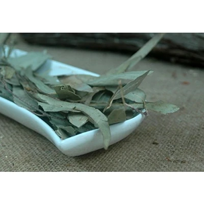 Abbildung von Naturix24 Eucalyptusblätter ganz 100 g