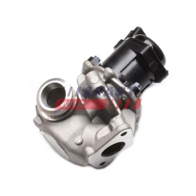 Abbildung von AGR Ventil FAST FT60240