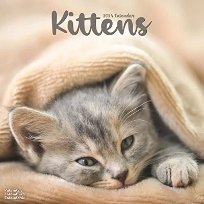 Abbildung von Kittens Kätzchen 2024 16 Monatskalender: Original Avonside Kalender [Mehrsprachig] [Kalender] (Wall Kalender)