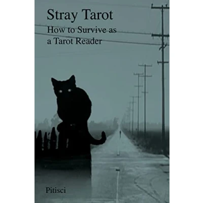 Abbildung von Stray Tarot: How to Survive as a Tarot Reader