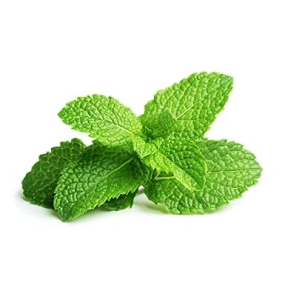 Abbildung von EMSA Click &amp;amp Grow Peppermint