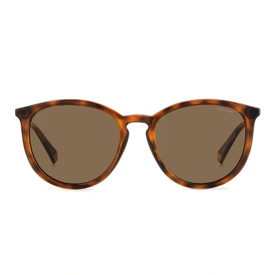 Abbildung von Polaroid PLD4144/S/X 086 Sonnenbrille 53/18/145