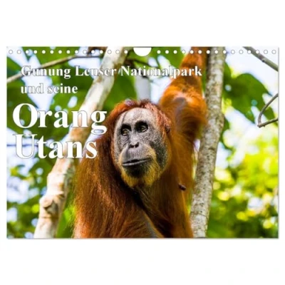 Abbildung von Gunung Leuser Nationalpark und seine Orang Utans (Wandkalender 2025 DIN A4 quer), CALVENDO Monatskalender