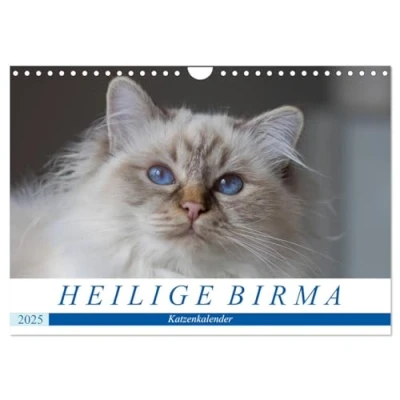 Abbildung von Heilige Birma Katzenkalender (Wandkalender 2025 DIN A4 quer), CALVENDO Monatskalender