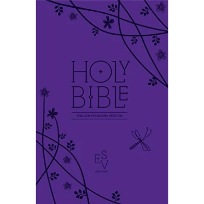 Abbildung von Holy Bible: English Standard Version (ESV) Anglicised Purple Compact Gift edition with zip