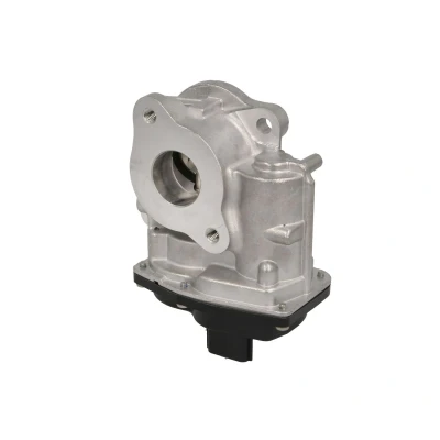 Abbildung von DELPHI EG10747 12B1 AGR Ventil elektrisch