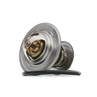 Abbildung von Borsehung B13141 Kühlwasserthermostat 87 VOLKSWAGEN: Golf 4 Schrägheck, 5 Variant, AUDI: A4 B6 Avant, A3 Schrägheck