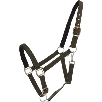 Abbildung von HKM Halfter Charming Weich Unterlegt Smokey Green Pony