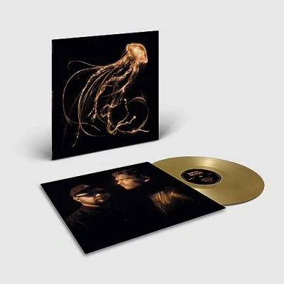 Abbildung von Back To The Water Below [Gold Vinyl exklusiv bei Amazon.de] [Vinyl LP]