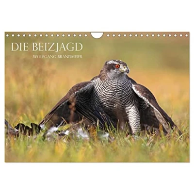 Abbildung von Die Beizjagd (Wandkalender 2025 DIN A4 quer), CALVENDO Monatskalender