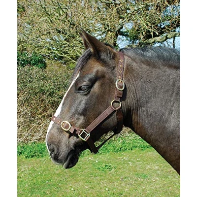 Abbildung von Rhinegold 0 Nylon Headcollar Pony Brown Halfter, braun