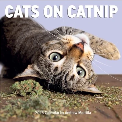 Abbildung von Cats on Catnip Wall Calendar 2025