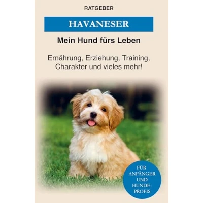 Abbildung von Havaneser: Havaneser Erziehung, Ernährung, Charakter von