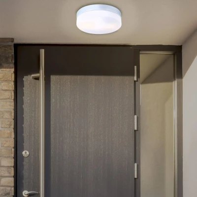 Abbildung von Globo LIGHTING Außen Deckenleuchte, Leuchtmittel nicht inklusive, Elegante Deckenleuchte Alu, silber opal VRANOS 32112