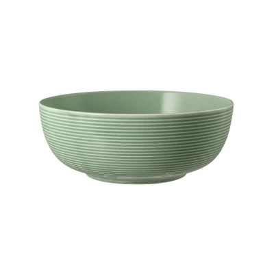 Abbildung von Seltmann Weiden Beat Salbeigrün uni Foodbowl 20 cm