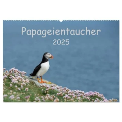 Abbildung von Papageientaucher 2025 (Wandkalender DIN A2 quer), CALVENDO Monatskalender