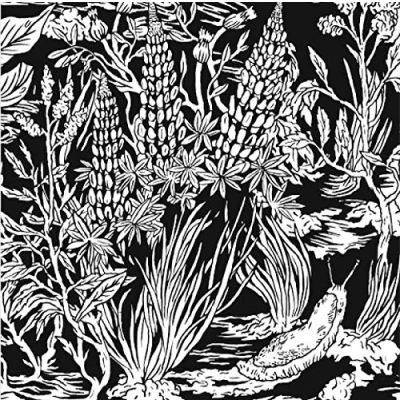 Abbildung von Wild Strawberries