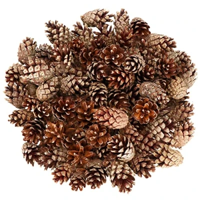 Abbildung von SPRINGOS Kiefernzapfen 500 gr. Naturprodukt Dekoartikel Weihnachtsdeko Herbstdeko Baumaterial für Insektenhotel
