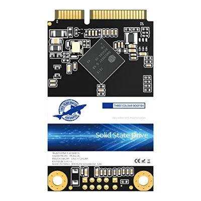Abbildung von Dogfish SSD MSATA 1TB Solid State Drive Ngff Internen Desktop Computer 6Gb/s High Performance Festplatte Für Laptop (1TB MSATA)
