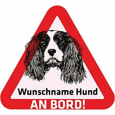 Abbildung von Indigos UG Namensaufkleber Hund Cavalier King Charles Spaniel Aufkleber mit Namen &amp; Wunschtext individuell personalisiert Auto Motorrad LKW