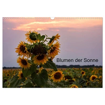 Abbildung von Blumen der Sonne (Wandkalender 2025 DIN A3 quer), CALVENDO Monatskalender