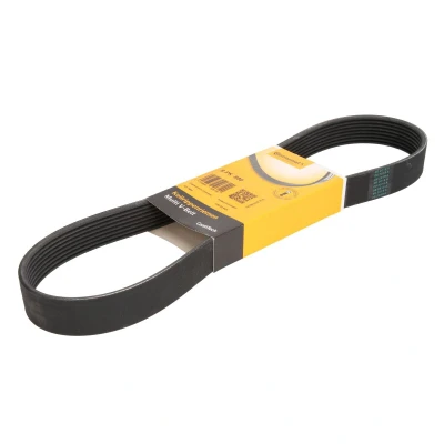Abbildung von CONTITECH 8PK880 Keilrippenriemen 880 8 MAN: F 2000