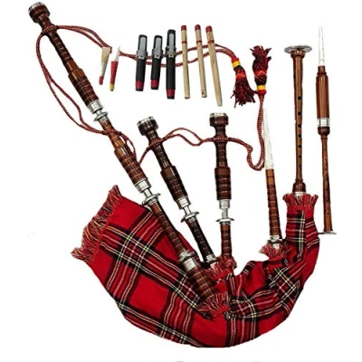 Abbildung von Schottischer Great Highland Dudelsack aus Palisander, natürliche Silberhalterungen mit Hartschalenkoffer und Anleitungsbuch