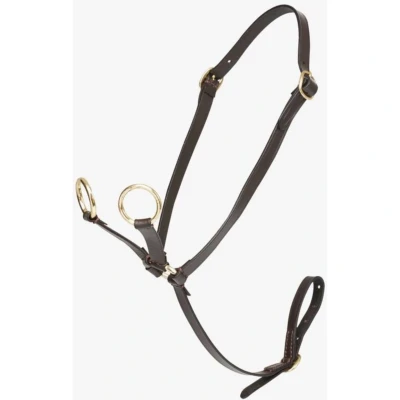 Abbildung von LeMieux Toy Pony Martingal Braun One Size Agradi.deVerkauft von Agradi
