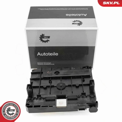 Abbildung von ESEN SKV 96SKV323 Steuergerät, Motormanagement