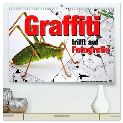 Abbildung von Graffiti trifft auf Fotografie (hochwertiger Premium Wandkalender 2025 DIN A2 quer), Kunstdruck in Hochglanz