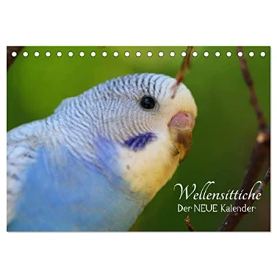 Abbildung von Wellensittiche der NEUE Kalender (Tischkalender 2025 DIN A5 quer), CALVENDO Monatskalender
