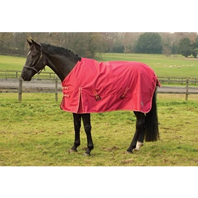 Abbildung von Rhinegold 0 Torrent Outdoor Rug 4/0 Red Outdoorteppich, rot, 4&#039;0&quot;