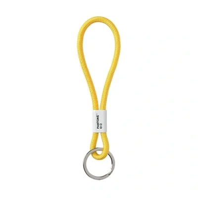 Abbildung von PANTONE Schlüsselanhänger, Design Schlüsselband, Key Chain, kurz