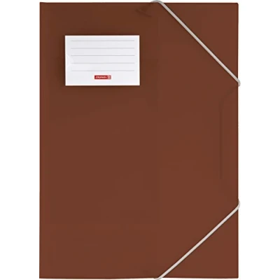 Abbildung von Sammelmappe A4 FACT! braun