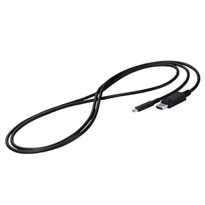 Abbildung von 0 EIZO CP200 BK USB C zu DisplayPort Anschlusskabel
