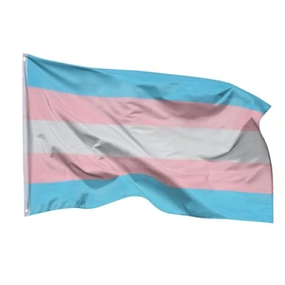 Abbildung von PHENO FLAGS Flagge Transgender Pride LGBT 90 x 150 cm Transsexuell Fahne (Hissflagge für Fahnenmast), Inkl. 2 Messing Ösen