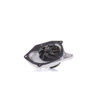 Abbildung von DOLZ R217 Wasserpumpe mit Riemenscheibe RENAULT: CLIO 2, TWINGO Kangoo II / Grand Kangoo, NISSAN: Qashqai Qashqai+2 I, Note MICRA 3