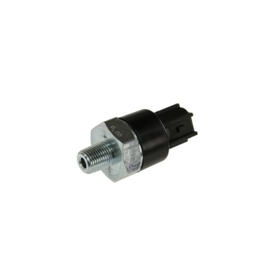 Abbildung von FAE 12555 Öldruckschalter 1/8x28h&#039;&#039; BSP NISSAN: Qashqai / Qashqai+2 I, Pathfinder 3, NP300 Pickup, RENAULT: LAGUNA 3 Grandtour, MASTER 2 Kasten