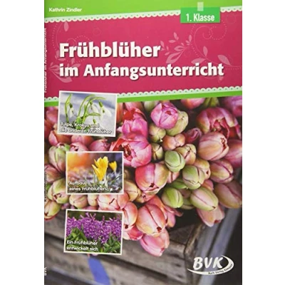 Abbildung von Frühblüher im Anfangsunterricht Differenzierter Sachunterricht, 1. Klasse (heterogene Lernvoraussetzungen)