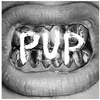 Abbildung von Pup [Vinyl LP]