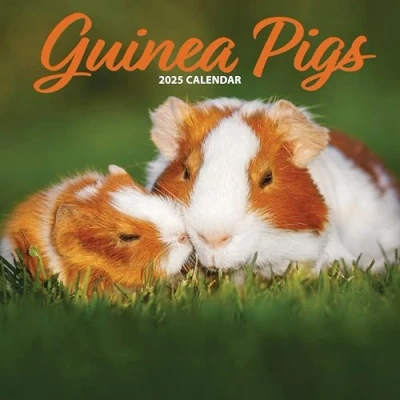 Abbildung von Traditioneller Kalender für 2025, Meerschweinchen