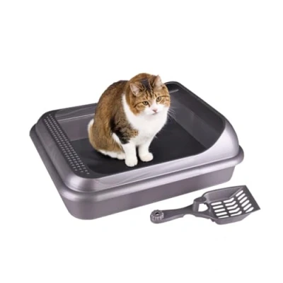 Abbildung von 4BIG.fun Katzentoilette Schalentoilette Katzenklo Kätzchen, mit abnehmbarem Rand