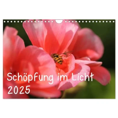 Abbildung von Schöpfung im Licht (Wandkalender 2025 DIN A4 quer), CALVENDO Monatskalender