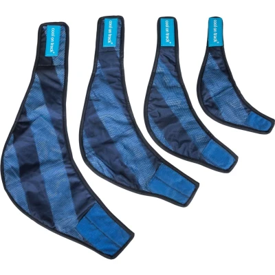 Abbildung von Back on Track Cooling Bandana Blau M Agradi.deVerkauft von Agradi
