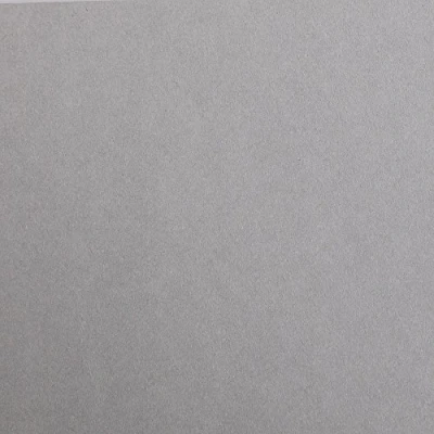 Abbildung von Clairefontaine 97362C Packung (mit 25 Bögen Zeichenpapier Maya, DIN A4, 21 x 29,7 cm, 120g, glatt, ideal für Trockentechnik und Einrahmen) grau