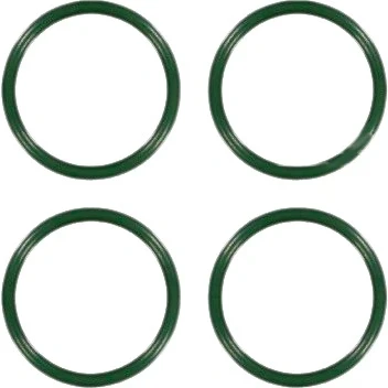 Abbildung von REINZ 11 38519 01 Dichtungssatz, Ansaugkrümmer PEUGEOT: 206 Schrägheck